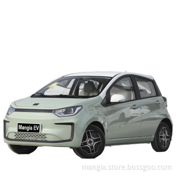 New cheap electric car made in China Mini suv2022 sales new energy adult electric car
